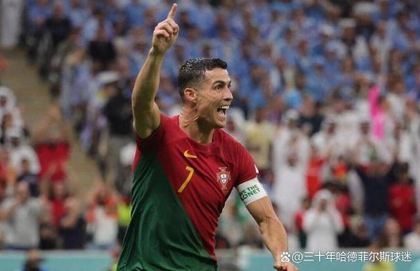 葡萄牙办过世界杯吗(葡萄牙参加了几次世界杯)