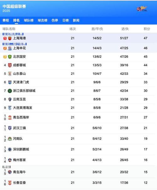 中超2019排行榜(中超2021排行榜)